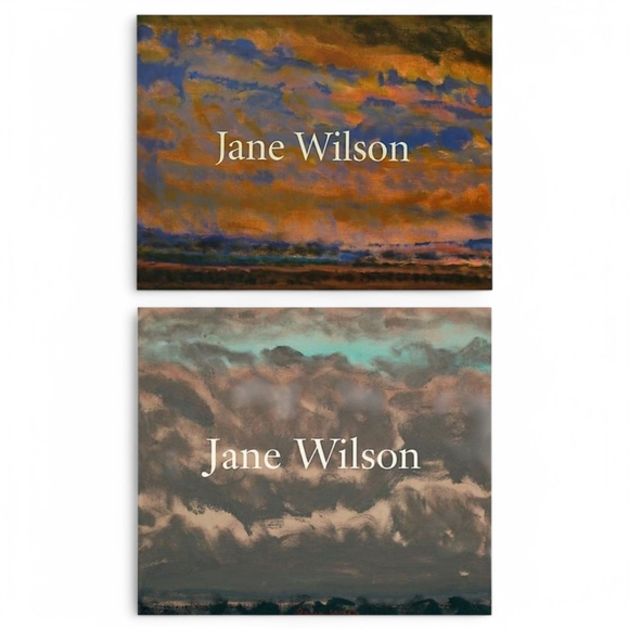 2 JANE WILSON PAINTINGS  DC Moore Gallery Exhibition Catalogs Coffee Table Books - Picture 1 of 3